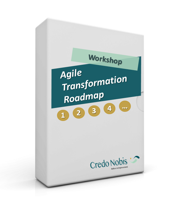 CredoNobis Coaching - Agile Transformation Roadmap workshop - action plan for the changes