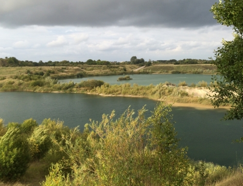 Forretningsudvikling