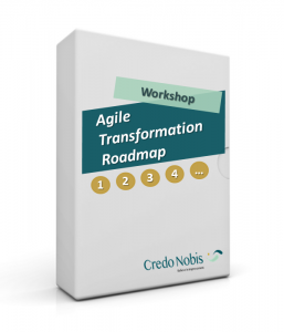 CredoNobis Coaching - Agile Transformation Roadmap workshop - action plan for the changes