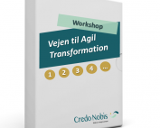 CredoNobis Coaching - Vejen til Agil Transformation workshop - handlingsplan for forandringer