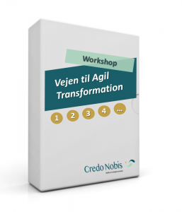 CredoNobis Coaching - Vejen til Agil Transformation workshop - handlingsplan for forandringer